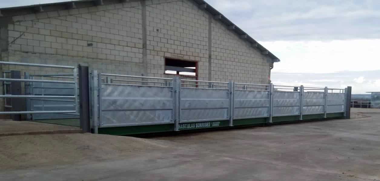 T90E - Metrología - Alquiler básculas puentes - Reparación M40 acero Rampas 4 - Básculas - Pesaje Industrial