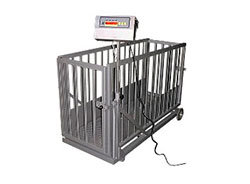 bascula ganado eletronica PORTATIL 1 - Básculas - Pesaje Industrial