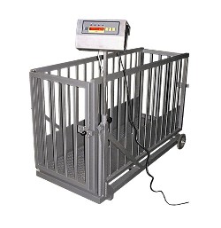 bascula ganado eletronica PORTATIL - Básculas - Pesaje Industrial