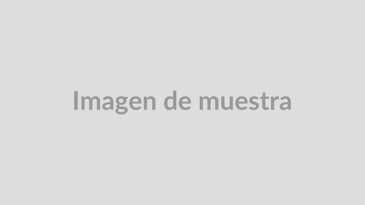 Soluciones de pesaje - Metrología - Alquiler básculas puentes - Reparación Placeholder